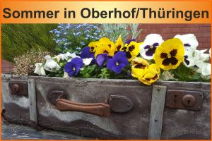 Gruppen- und Vereinsfahrt